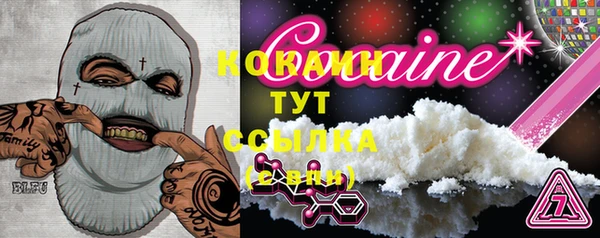 стаф Баксан