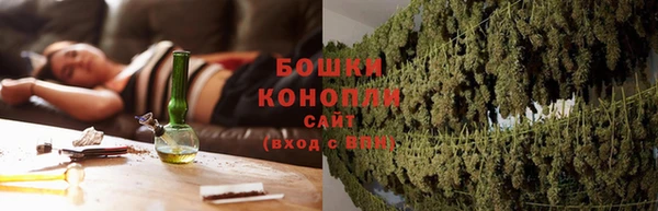 ГАЛЛЮЦИНОГЕННЫЕ ГРИБЫ Балахна