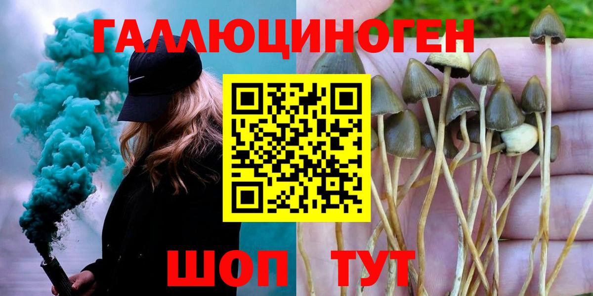 Улан-Удэ  Псилоцибиновые грибы мухоморы  Вход с VPN 
