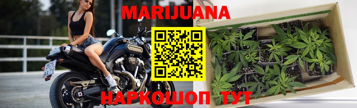 Конопля SATIVA & INDICA Улан-Удэ